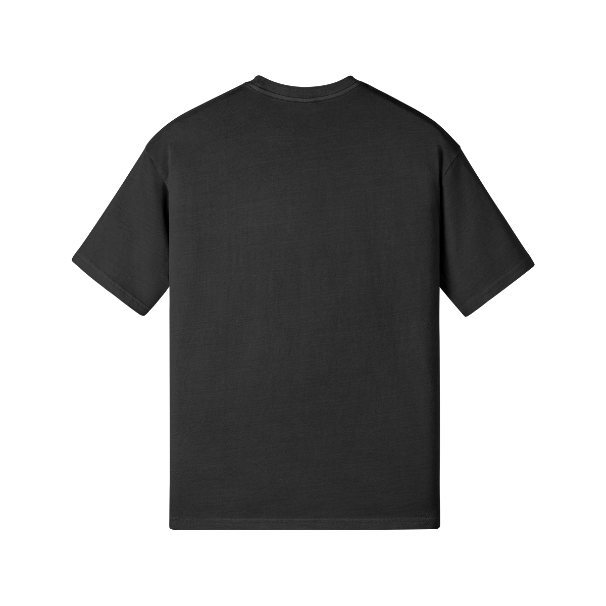 Pioneer Dreams Washed T-Shirt
